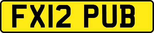 FX12PUB