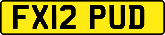FX12PUD