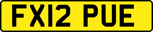 FX12PUE