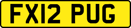 FX12PUG