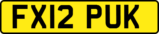 FX12PUK