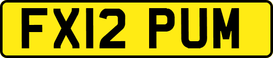 FX12PUM
