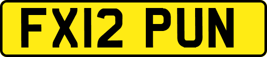FX12PUN