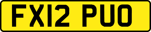 FX12PUO