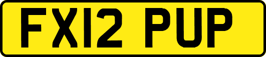 FX12PUP