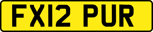 FX12PUR
