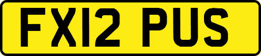 FX12PUS