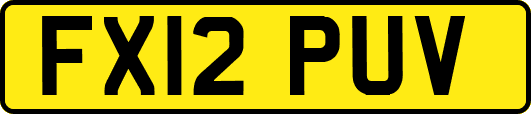 FX12PUV