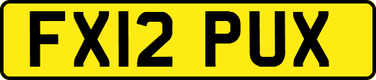 FX12PUX