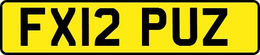 FX12PUZ