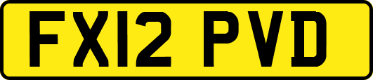 FX12PVD