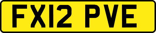 FX12PVE