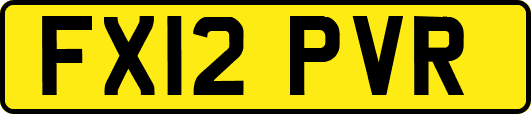 FX12PVR
