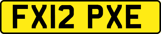 FX12PXE