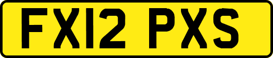 FX12PXS