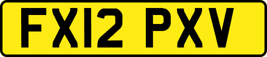 FX12PXV