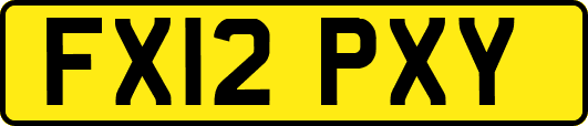 FX12PXY