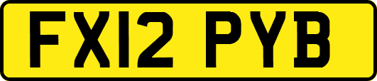 FX12PYB