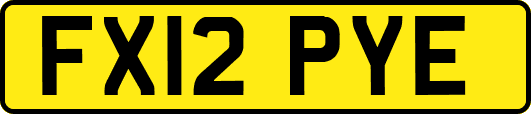 FX12PYE