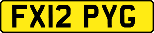 FX12PYG