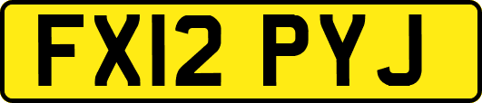 FX12PYJ