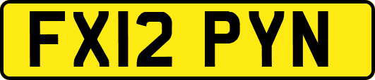 FX12PYN