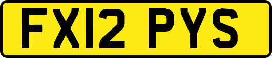 FX12PYS