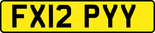 FX12PYY