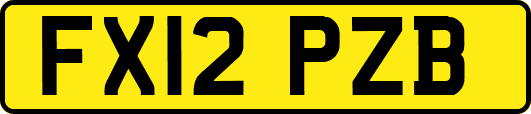 FX12PZB