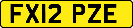 FX12PZE