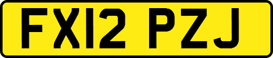 FX12PZJ