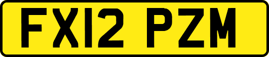 FX12PZM