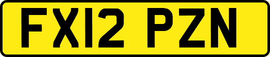 FX12PZN