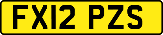 FX12PZS
