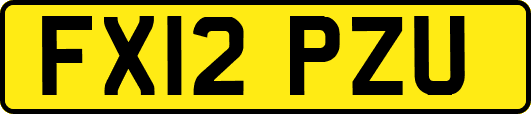 FX12PZU