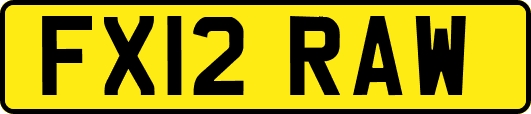FX12RAW