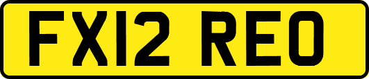 FX12REO