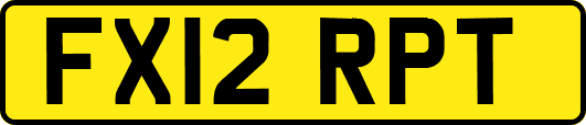 FX12RPT