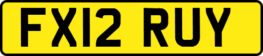 FX12RUY