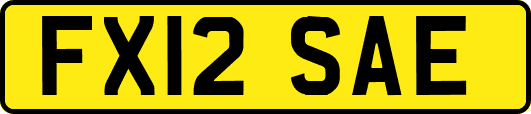 FX12SAE