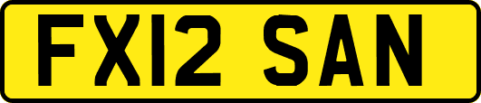 FX12SAN