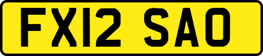 FX12SAO
