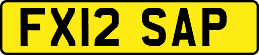 FX12SAP