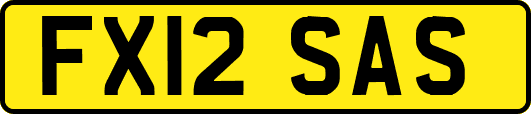 FX12SAS