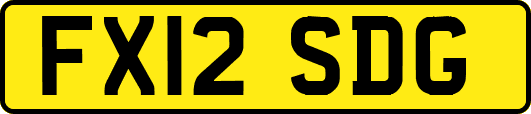 FX12SDG