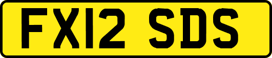 FX12SDS