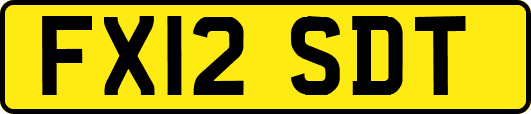FX12SDT