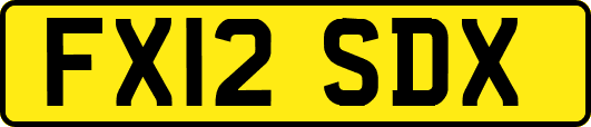 FX12SDX
