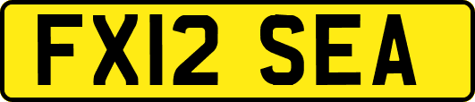 FX12SEA