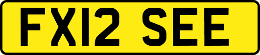 FX12SEE
